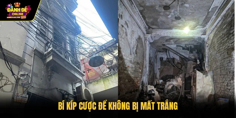 Bí kíp cược để không bị mất trắng