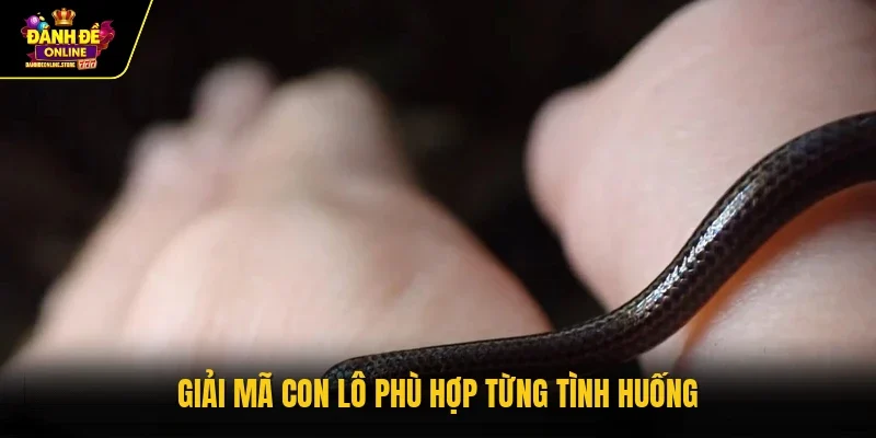 Giải mã con lô phù hợp từng tình huống