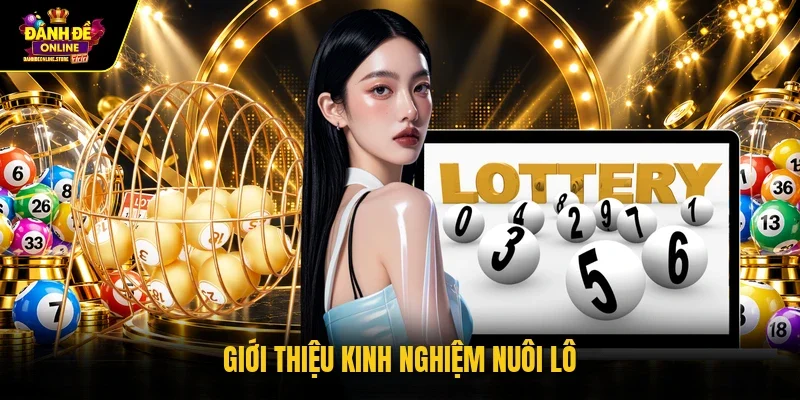 Giới thiệu kinh nghiệm nuôi lô